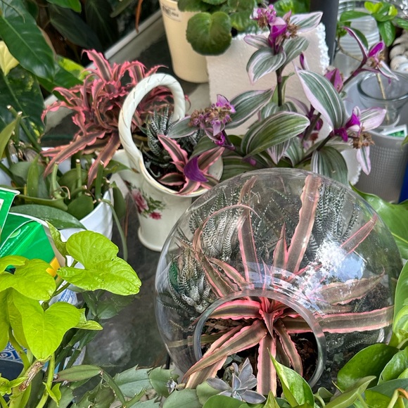 ❤️BOOKMARK🌟POSH AMBASSADOR🌟     Maria L - Picture 15 of 16